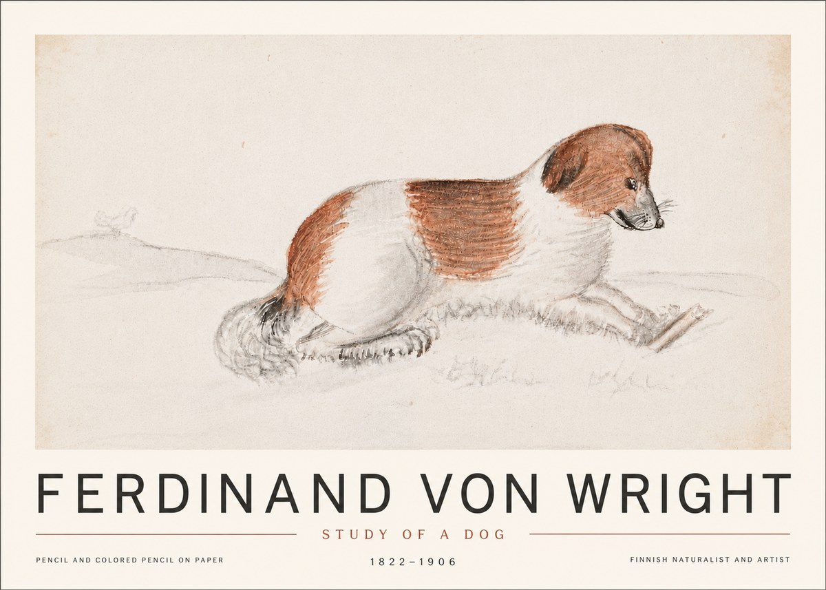 Ferdinand von Wright Study of a Dog No6 - Póster