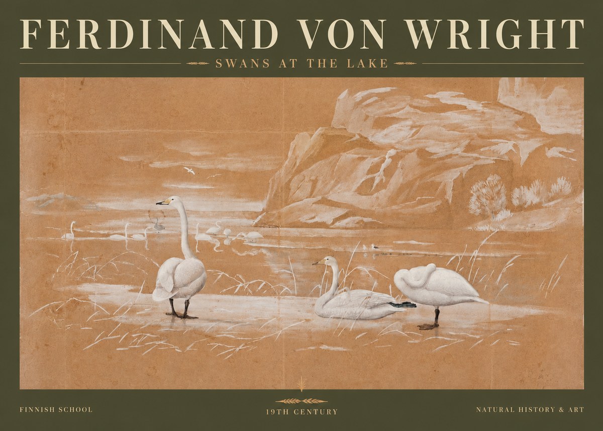 Ferdinand von Wright Swans at the Lake No3 - Póster