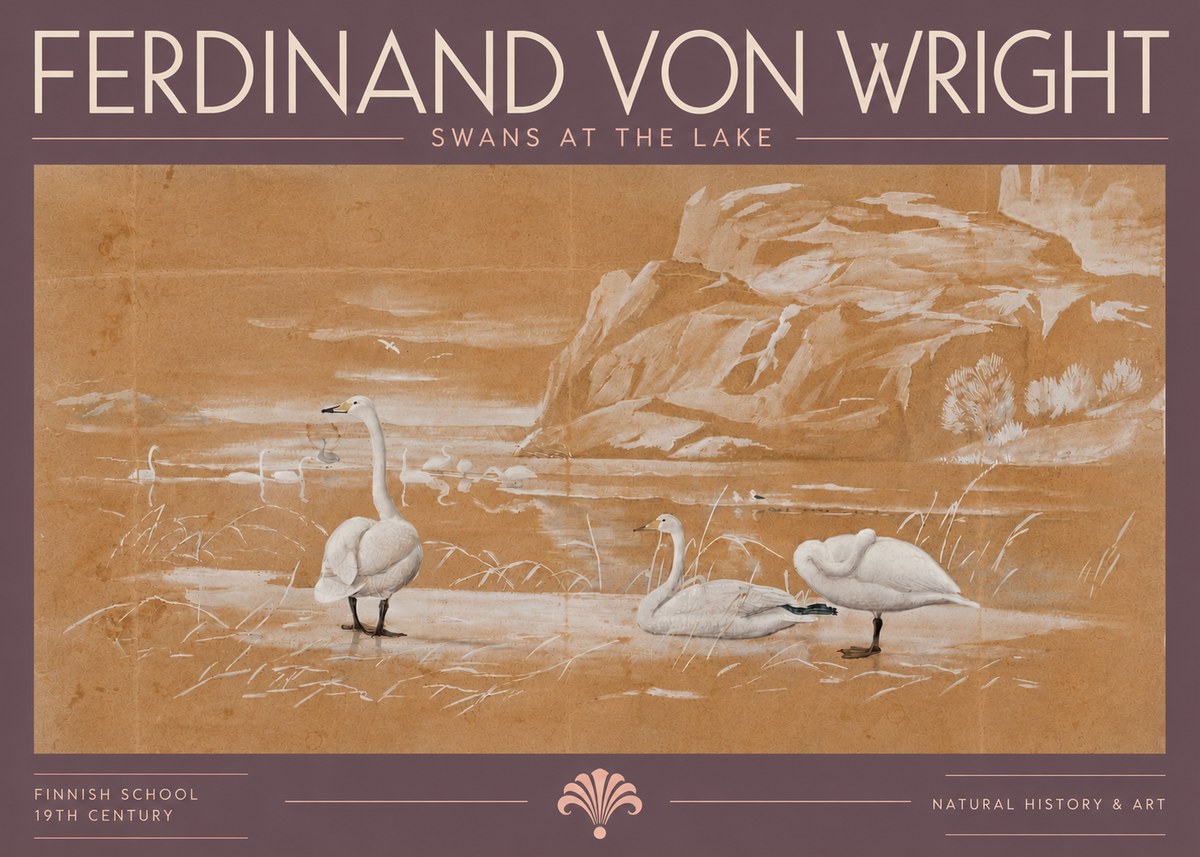 Ferdinand von Wright Swans at the Lake No5 - Póster