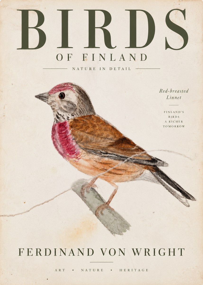 Ferdinand von Wright Bird Study No4 - Póster