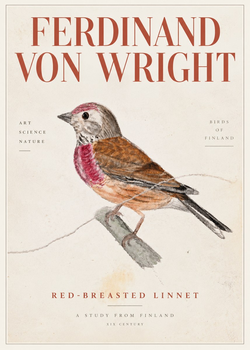 Ferdinand von Wright Bird Study No5 - Póster