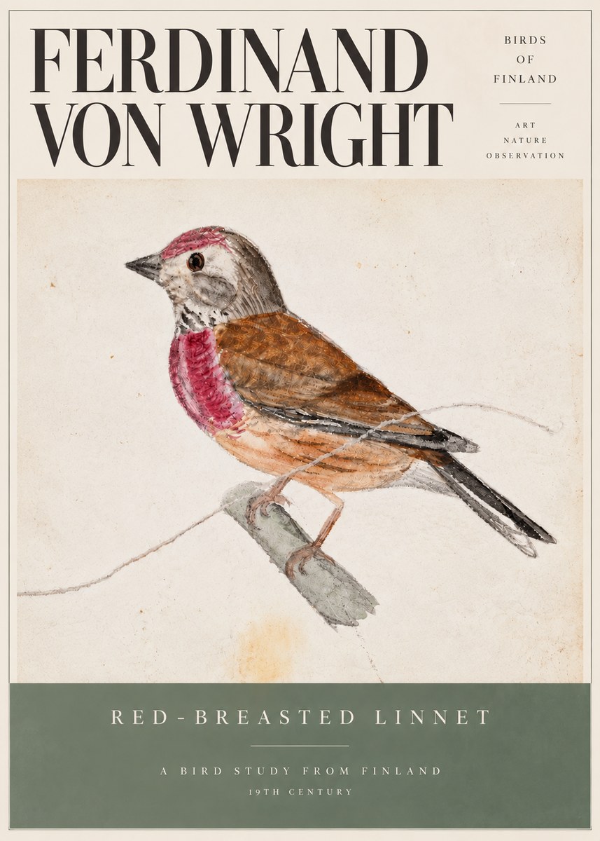 Ferdinand von Wright Bird Study No6 - Póster